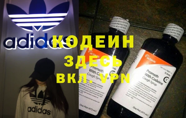 spice Богданович