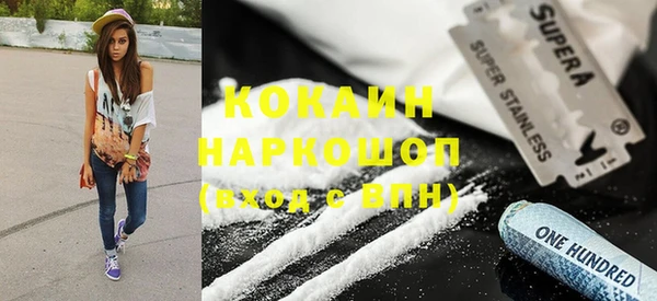 spice Богданович